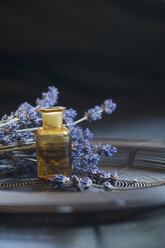 Lavendelöl in einer Glasflasche, Lavendelzweige, Lavandula angustifolia - ASF005360