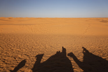 Africa, North Africa, Tunesia, Maghreb, Sahara near Ksar Ghilane, Shadows of a caravan with dromedaries and tourists on sand - GFF000468