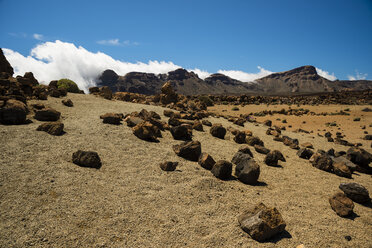 Spain, Canary Islands, Tenerife, Teide National Park, Volcanic landscape, Plateau - WGF000290