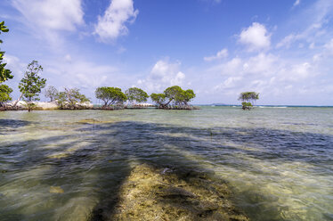 Indonesien, Riau-Inseln, Bintan, Insel Nikoi, Mangroven am Strand - THAF000353