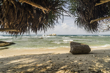 Indonesien, Riau-Inseln, Bintan, Insel Nikoi, Toter Baumstamm am Strand - THAF000355