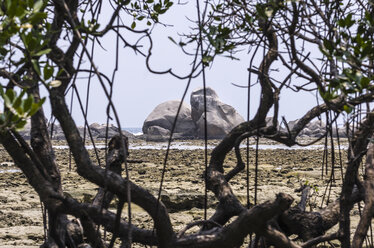 Indonesien, Riau-Inseln, Bintan, Insel Nikoi, Blick auf Felsen durch Äste - THAF000344