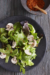 Bowl of mixed salad with slices of champignon and red dried chili on grey wood - KSWF001281