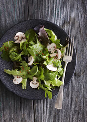 Bowl of mixed salad with slices of champignon and flavoured with red dried chili on grey wood - KSWF001282