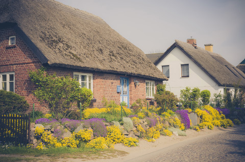 Deutschland, Mecklenburg-Vorpommern, Rügen, Landhaus und blühende Blumen, lizenzfreies Stockfoto