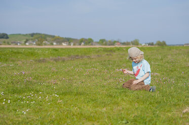 Germany, Mecklenburg-Western Pomerania, Ruegen, Boy picking flowers from meadow - MJF001208