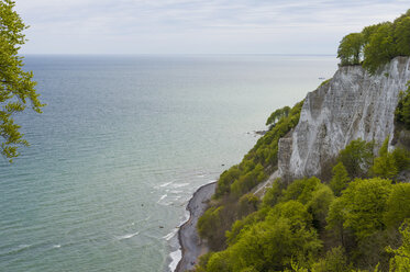 Deutschland, Mecklenburg-Vorpommern, Rügen, Nationalpark Jasmund, Kreideküste am Königsstuhl - MJF001240