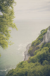 Germany, Mecklenburg-Western Pomerania, Ruegen, Jasmund National Park, Chalk coast at Koenigsstuhl - MJF001241