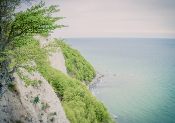 Deutschland, Mecklenburg-Vorpommern, Rügen, Nationalpark Jasmund, Kreideküste am Königsstuhl - MJF001245