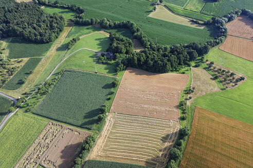 Österreich, Steiermark, Hartberg, Stubenberg, Felder - GFF000502