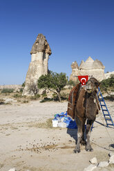 Türkei, Kappadokien, Dromedar vor einem Feenkamin in Pasabag - GF000511