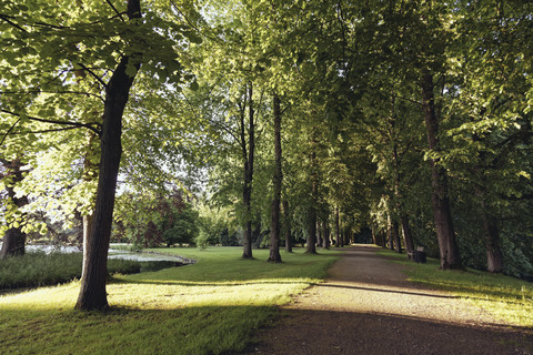 Deutschland, Nordrhein-Westfalen, Park von Schloss Anholt, lizenzfreies Stockfoto