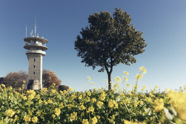 Germany, North Rhine-Westphalia, Longinus Tower behind rape field - MEMF000020