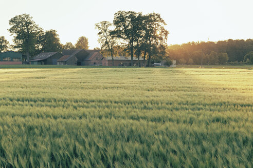 Deutschland, Nordrhein-Westfalen, Bauernhaus in der Coesfelder Heide - MEMF000074