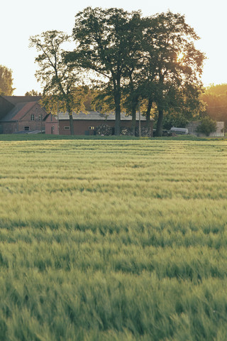 Deutschland, Nordrhein-Westfalen, Bauernhaus in der Coesfelder Heide, lizenzfreies Stockfoto