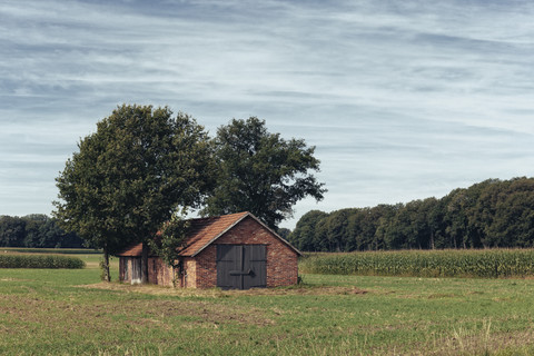 Deutschland, Nordrhein-Westfalen, Bauernhaus im westlichen Münsterland, lizenzfreies Stockfoto