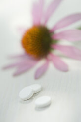 Drei weiße Tabletten und violetter Sonnenhut, Echinacea, auf weißem Grund - ASF005366