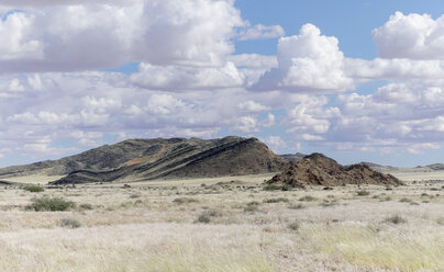 Africa, Namibia, Naukluft Mountians, Veld - HLF000579