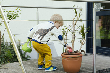 Kleiner Junge findet ein Osterei im Blumentopf - MFF001121