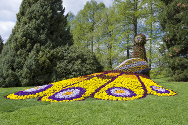 Deutschland, Baden-Württemberg, Mainau, Pfauenfigur aus Blumen - WIF000708