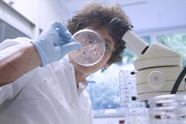 Female chemist looking at petri dish in laboratory - SGF000717