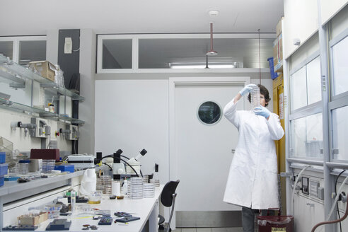Chemikerin betrachtet Petrischalen im Labor - SGF000721