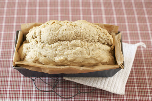 Laibpfanne mit frischem, selbstgebackenem Hefebrot auf dem Abkühlgitter - SABF000018