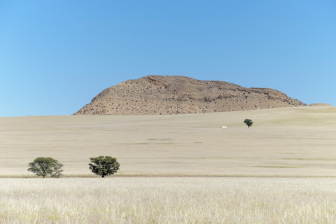Africa, Namibia, Namib Naukluft area, grasslands with trees stock photo