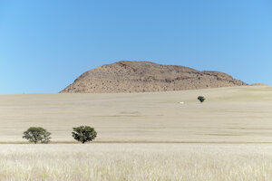 Afrika, Namibia, Namib Naukluft Gebiet, Grasland mit Bäumen - HLF000582