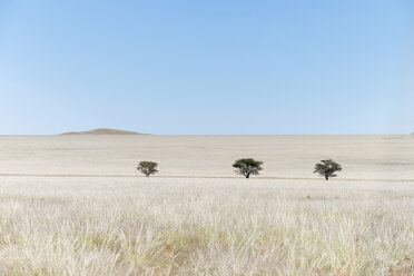 Africa, Namibia, Namib Naukluft area, grasslands with trees - HLF000583