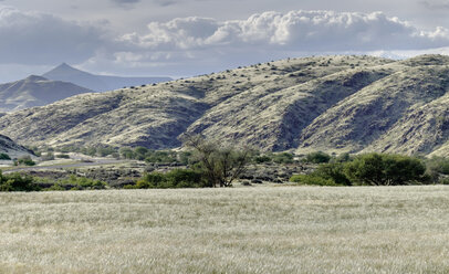 Africa, Namibia, Namib Naukluft, view to mountains and grassland in the foreground - HLF000594