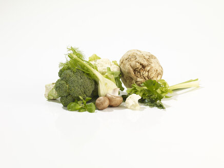 Brokkoli, Crimini-Pilze, Feldsalat, Sellerie, Fenchelknolle und Blumenkohl vor weißem Hintergrund - SRSF000487