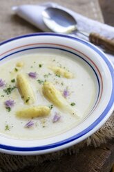 Traditionelle deutsche Spargelsuppe - HAWF000200