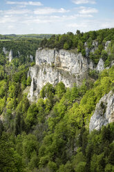 Deutschland, Baden-Württemberg, Landkreis Sigmaringen, Blick auf Jurakalkfelsen im Oberen Donautal - ELF001025