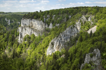 Deutschland, Baden-Württemberg, Landkreis Sigmaringen, Blick auf Jurakalkfelsen im Oberen Donautal - ELF001026