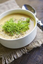 Chervil carrot soup, garnished with fresh chervil and fennel seeds - HAWF000211