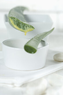 Sliced Aloe vera leaf and bowls - ASF005392