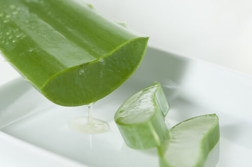 Sliced Aloe vera leaf, close-up - ASF005394