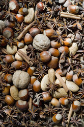 Star anise, walnuts, hazelnuts, almonds and cinnamon sticks, partial view - ASF005404