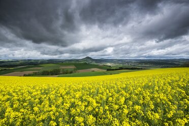 Deutschland, Baden-Württemberg, Landkreis Konstanz, Hegau, Rapsfeld, Hohenhewen im Hintergrund - ELF001043