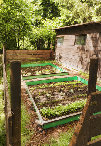 Garten mit gemischtem Gemüsebeet und Schneckenzaun, lizenzfreies Stockfoto