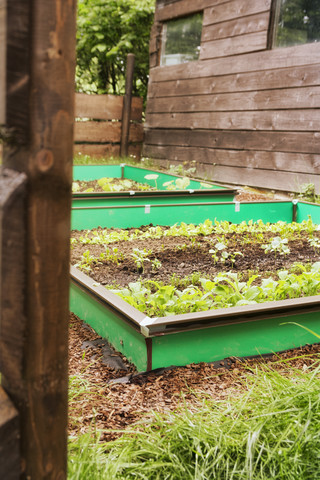 Garden with mixed vegetable patch and slug fence stock photo