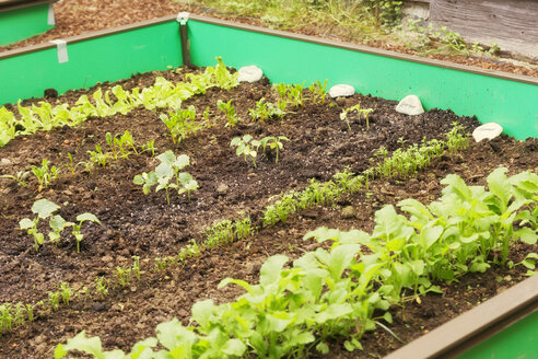 Garten mit gemischtem Gemüsebeet und Schneckenzaun - ONF000568