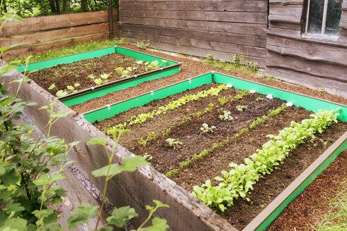 Garten mit gemischtem Gemüsebeet und Schneckenzaun - ONF000569