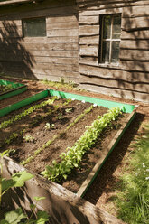 Garten mit gemischtem Gemüsebeet und Schneckenzaun - ONF000570