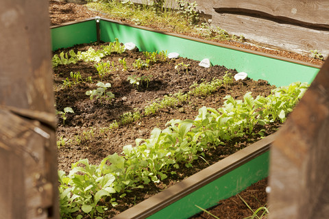 Garden with mixed vegetable patch and slug fence stock photo