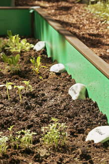 Garten mit gemischtem Gemüsebeet und Schneckenzaun - ONF000572