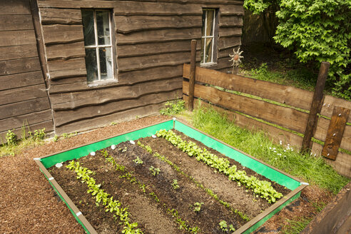 Garden with mixed vegetable patch and slug fence - ONF000576
