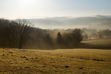 Germany, North Rhine-Westphalia, Bergisches Land, landscape at morning mist - ONF000580