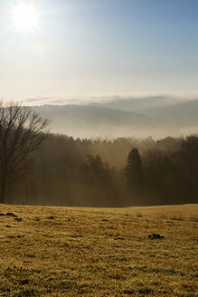 Deutschland, Nordrhein-Westfalen, Bergisches Land, Landschaft im Morgennebel - ONF000581